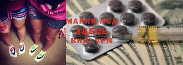 spice Аркадак