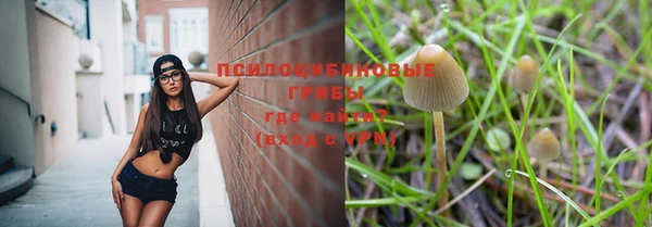 бошки Кинешма