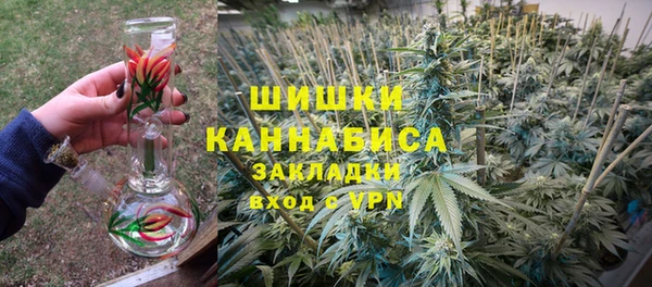 spice Аркадак