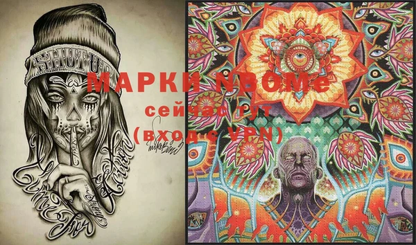 spice Аркадак