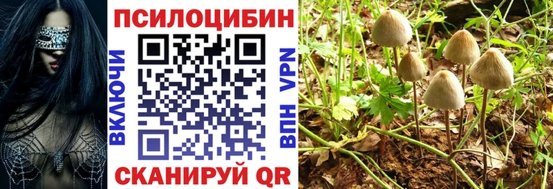 купить   Армянск  Галлюциногенные грибы Psilocybine cubensis 